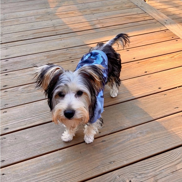 Reddy/ Small dog Cotton/ fleece Blue camo sweatshirt. - Picture 6 of 6